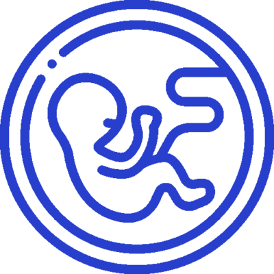 embryo donation