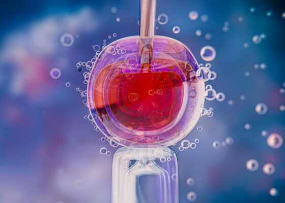 ivf fertility